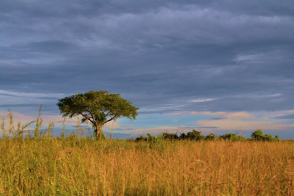 Murchison Falls National Park, Uganda